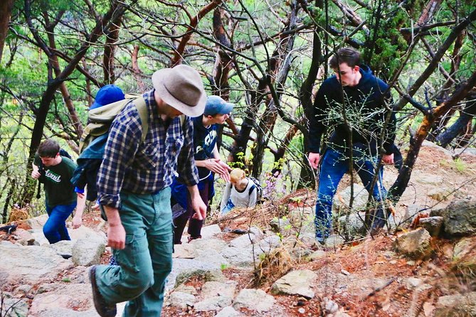 Seoul Mountain Hike: Temples, Folklore & Traditional Meal - Who should book this six-hour outing