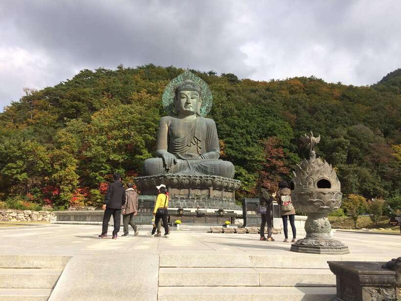 Seoul: Mt.Seorak(+CableCar Option)+Sokcho Fish Market&Beach - Key points to know before booking