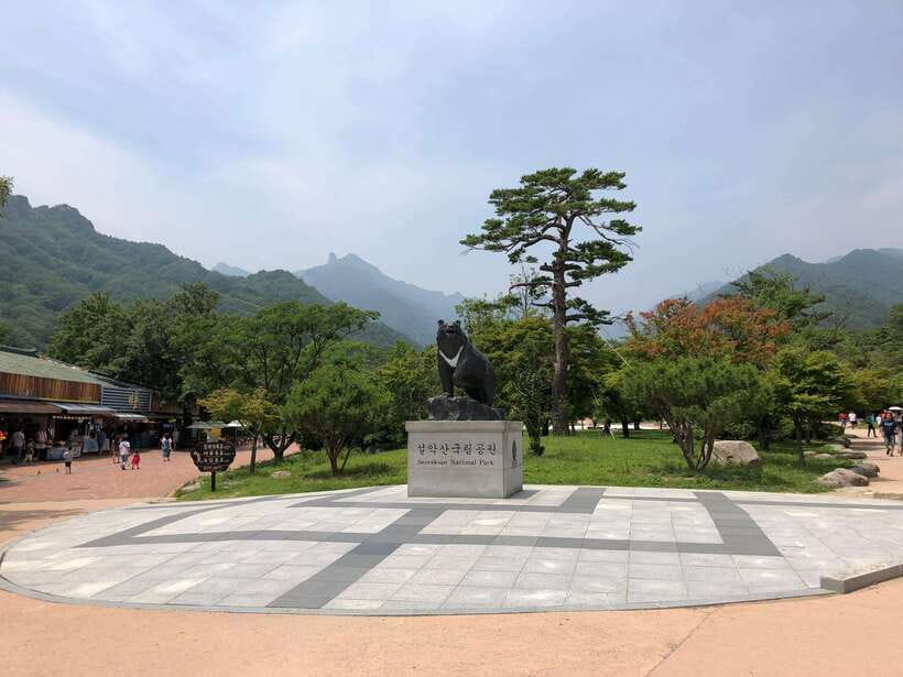 Seoul: Mt.Seorak(+CableCar Option)+Sokcho Fish Market&Beach - Five hours among Seoraksan’s autumn paths