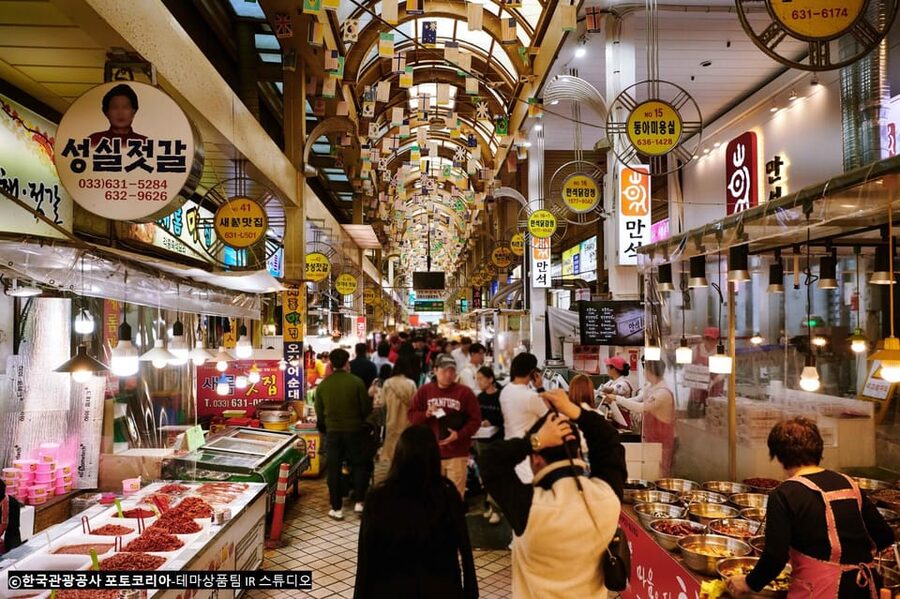 Seoul: Mt.Seorak(+CableCar Option)+Sokcho Fish Market&Beach - Choosing the Seoraksan cable car