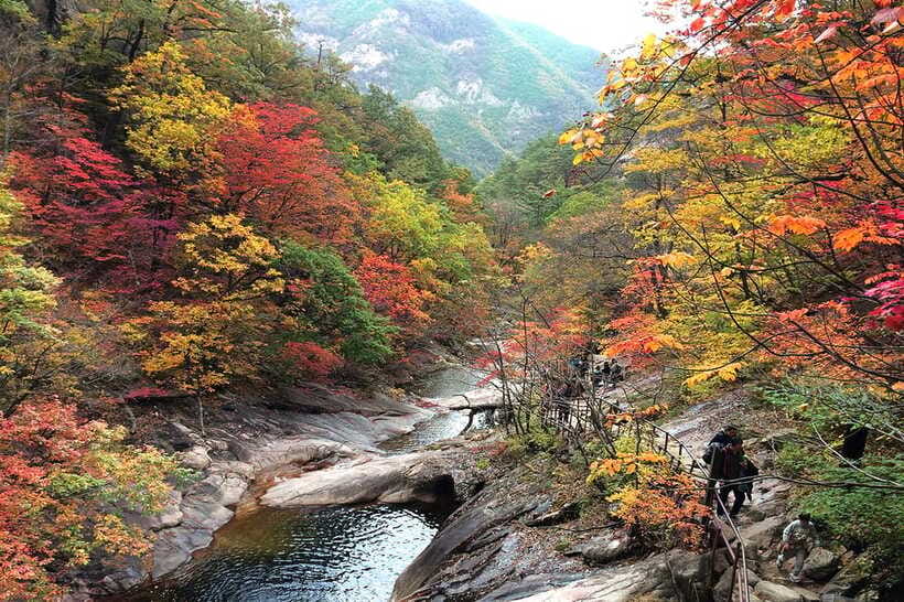 Seoul: Mt.Seorak(+CableCar Option)+Sokcho Fish Market&Beach - Sokcho Tourist Fishery Market after the mountains