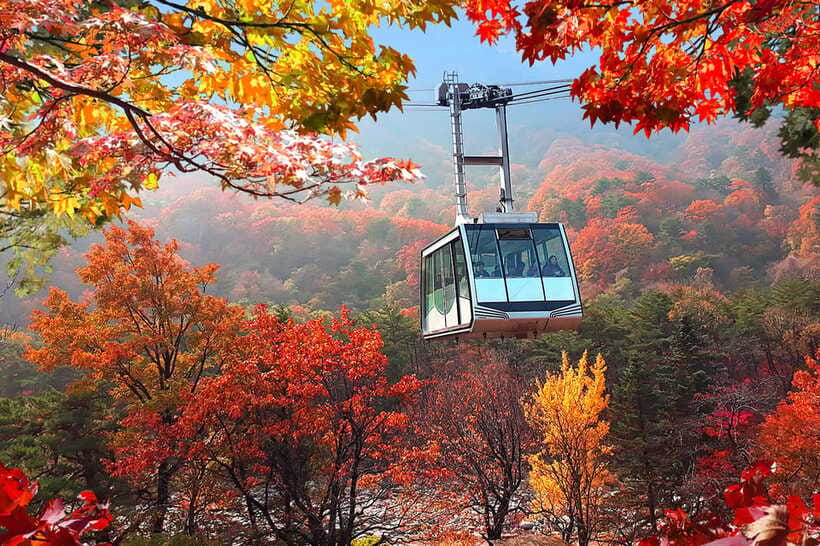 Seoul: Mt.Seorak(+CableCar Option)+Sokcho Fish Market&Beach - Thirty minutes at Sokcho Beach