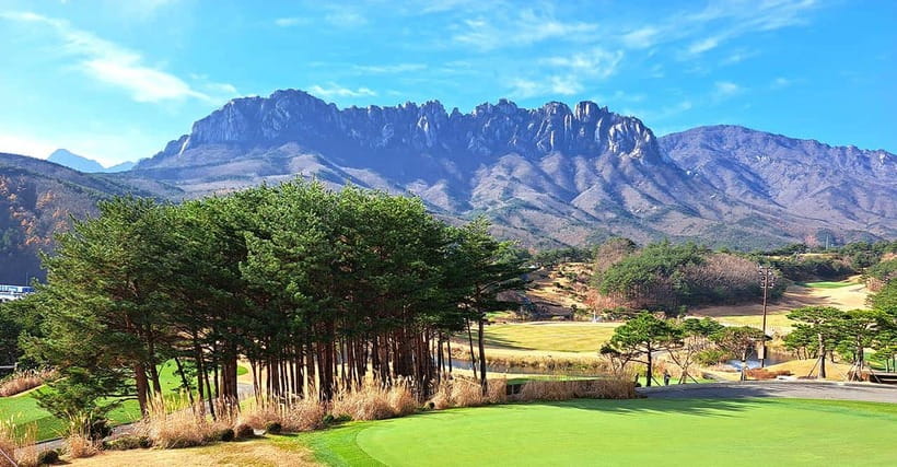 Seoul: Mt.Seorak(+CableCar Option)+Sokcho Fish Market&Beach - Who will get the most from this tour?