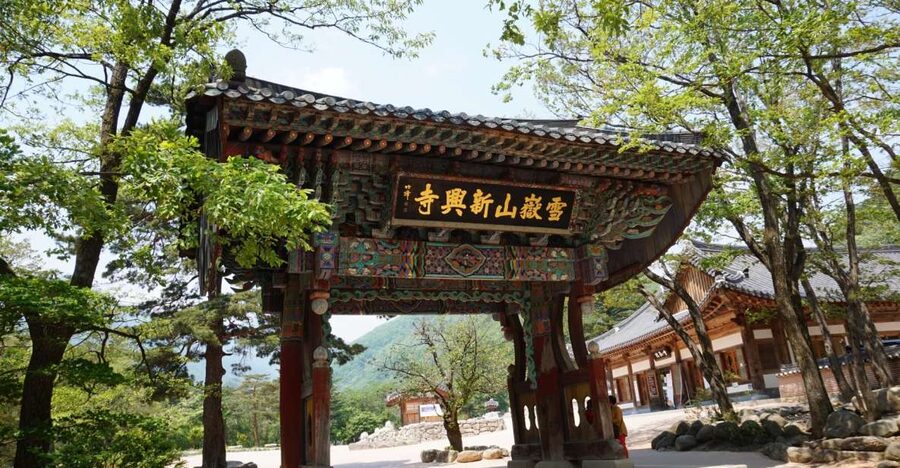 Seoul: Mt Seorak + Naksansa Temple or Nami Island Group Tour - Should you book the Mt Seorak day trip?