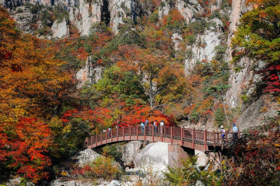 Seoul: Mt Seorak + Naksansa Temple or Nami Island Group Tour - Naksansa Temple and the East Coast view
