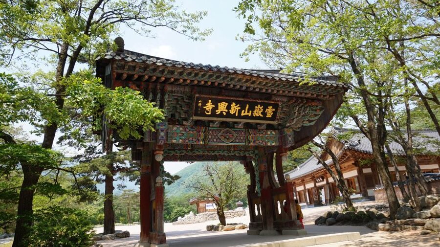 Seoul: Mt Seorak + Naksansa Temple or Nami Island Group Tour - Nami Island for an easier, more polished outing