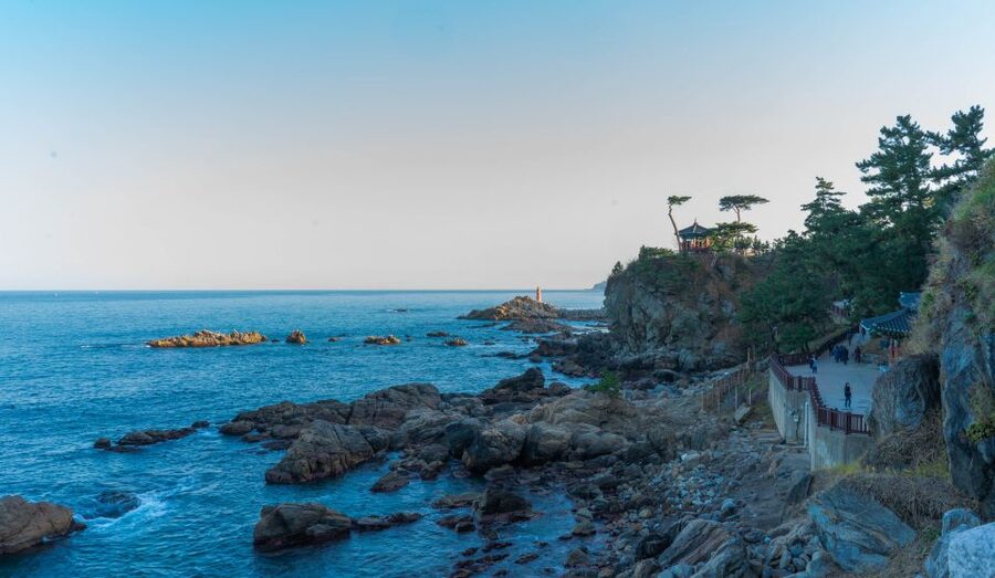 Seoul: Mt Seorak + Naksansa Temple or Nami Island Group Tour - Who will enjoy this tour most?