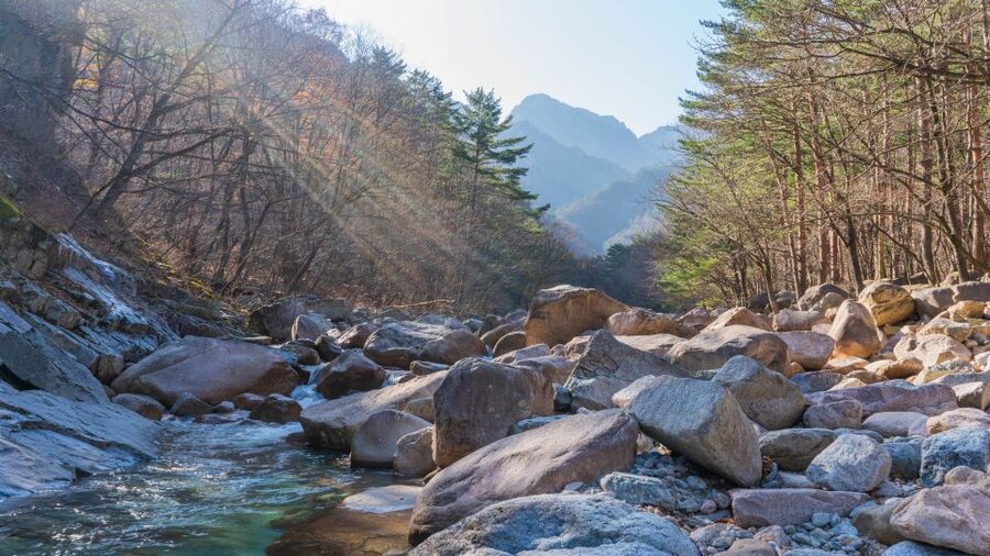 Seoul: Mt Seorak + Naksansa Temple or Nami Island Group Tour - Choosing your Mt Seorak route
