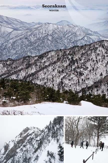 Seoul: Mt. Seorak & Nami Island & Eobi Ice Valley Day Tour - Meeting the coach in central Seoul