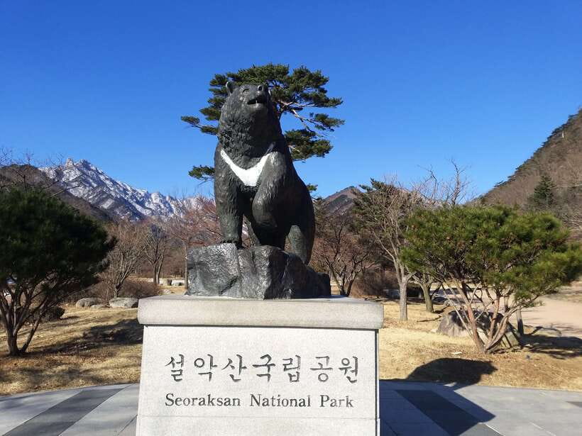 Seoul: Mt.Seorak, Nami Island & Korean Garden, No Shopping - Key points to know before booking