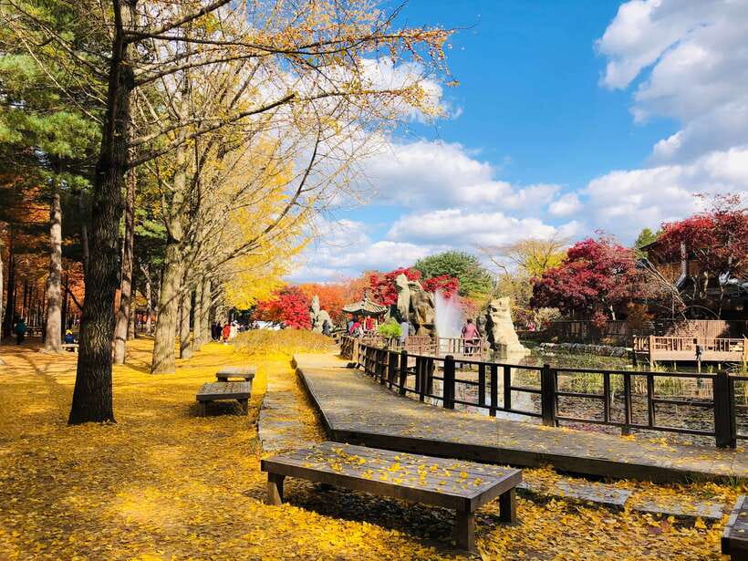 Seoul: Mt.Seorak, Nami Island & Korean Garden, No Shopping - Should you book this tour?