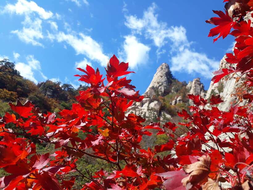 Seoul: Mt.Seorak, Nami Island & Korean Garden, No Shopping - Why this day trip works for seeing rural Korea