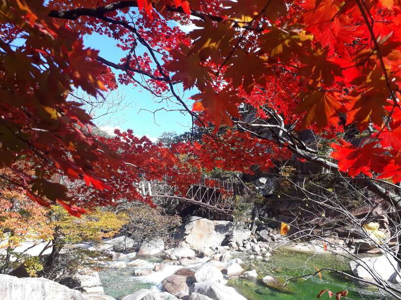Seoul: Mt.Seorak, Nami Island & Korean Garden, No Shopping - The Garden of Morning Calm saves its best mood for late day