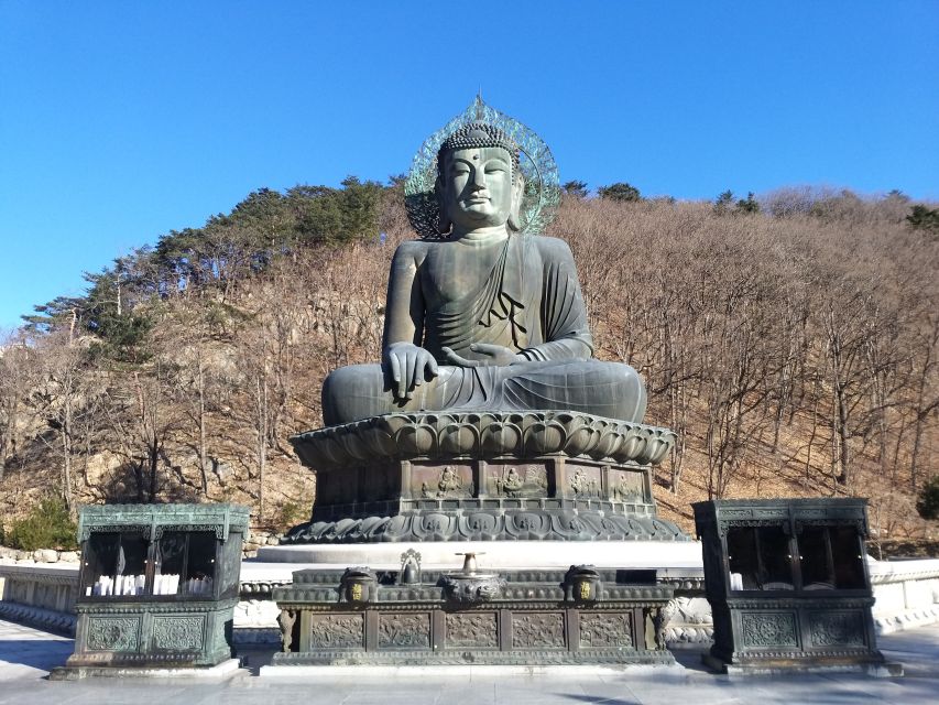 Seoul: Mt.Seorak, Nami Island & Korean Garden, No Shopping - Which guide style will suit you