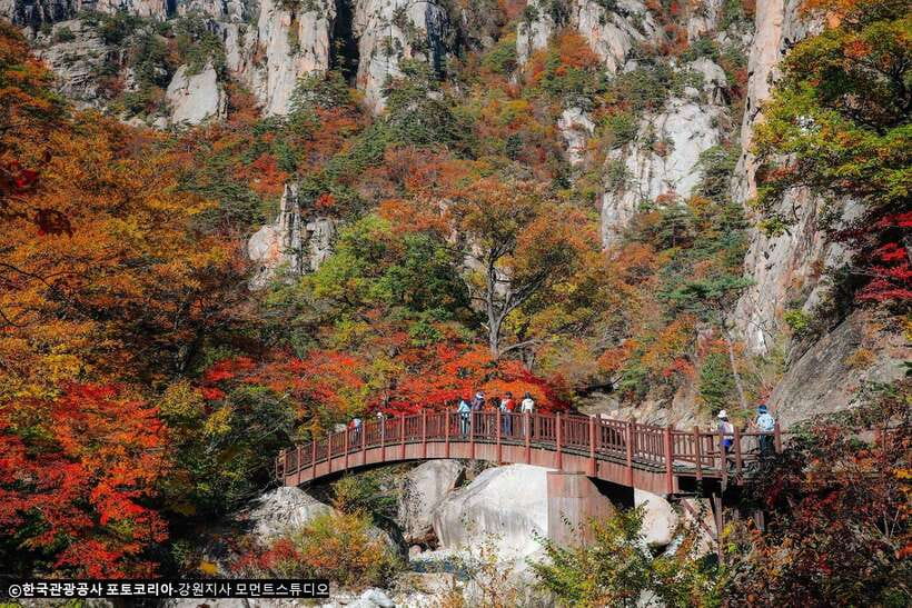 Seoul: Mt.Seorak, Nami Island, No Shopping(+RailBike Option) - Key points to know before booking