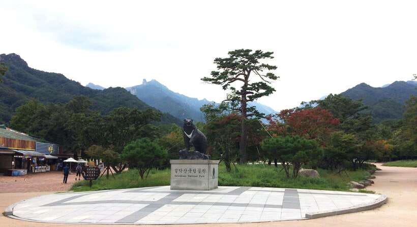 Seoul: Mt.Seorak, Nami Island, No Shopping(+RailBike Option) - Why this Seoul day trip works