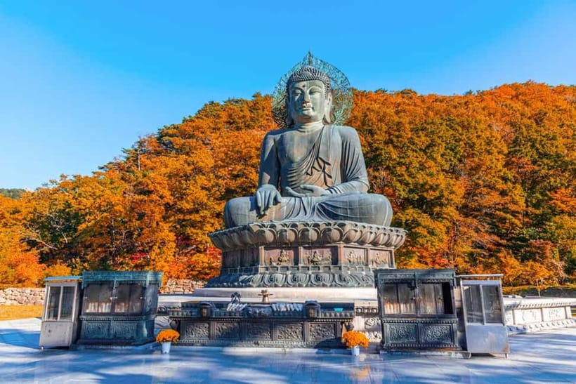 Seoul: Mt. Seoraksan National Park Autumn Foliage Day Tour - Key points to know before you book