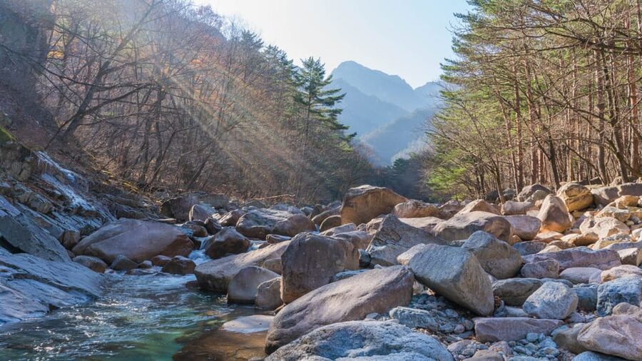 Seoul: Mt. Seoraksan National Park Autumn Foliage Day Tour - Who should book this Seoraksan day tour?