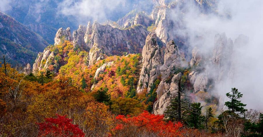 Seoul: Mt. Seoraksan National Park Autumn Foliage Day Tour - Why Seoraksan makes a strong Seoul day trip