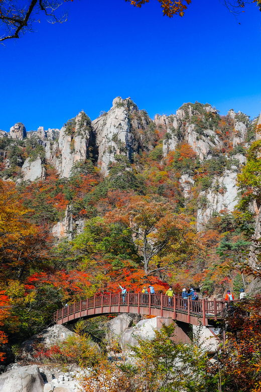 Seoul: Mt. Seoraksan National Park Autumn Foliage Day Tour - Five hours to choose your own route