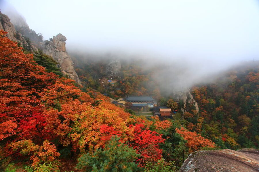 Seoul: Mt. Seoraksan National Park Autumn Foliage Day Tour - Guides, group habits, and the return journey