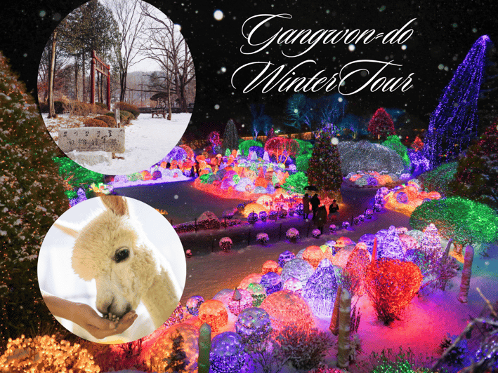 Seoul: Nami and K-Garden with Optional Alpaca Winter Tour - A winter day beyond Seoul