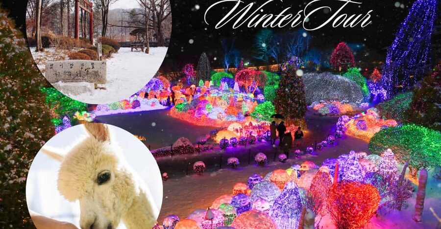 Seoul: Nami and K-Garden with Optional Alpaca Winter Tour - Eobi Valley and the famous ice wall
