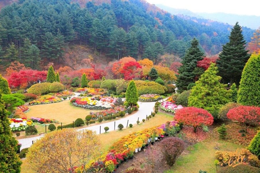 Seoul: Nami and Petite France Tour with Optional K-Garden - What your 10-hour schedule is trying to fit in
