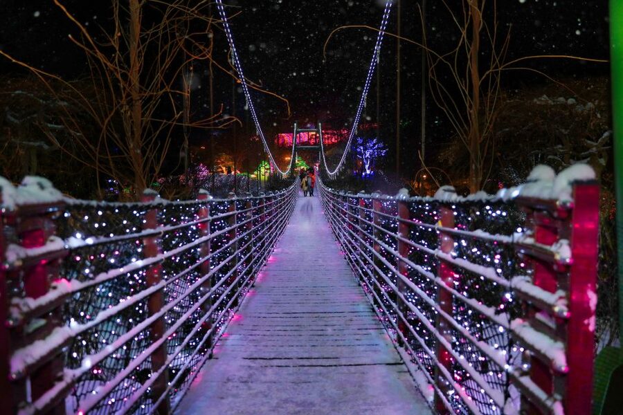 Seoul: Nami and Petite France Tour with Optional K-Garden - Is the 50 dollar price good value?
