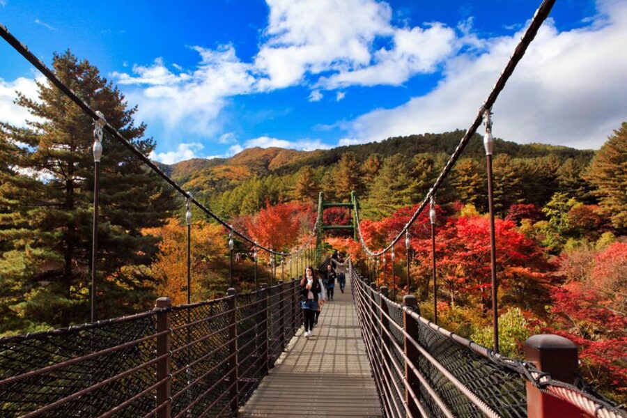 Seoul: Nami and Petite France Tour with Optional K-Garden - Practical advice before you book