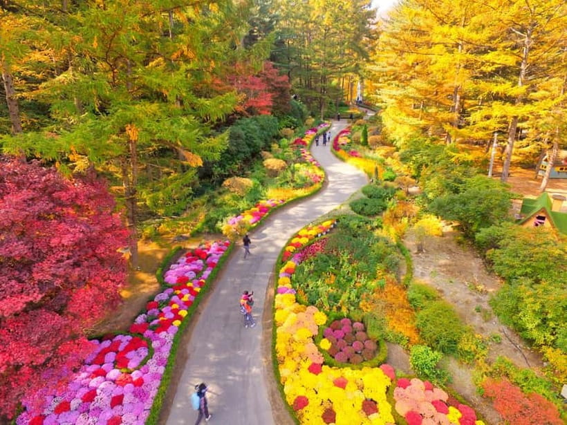 Seoul: Nami Island and Garden of Morning Calm opt Railbike - Gangchon Rail Park: the most active part of the day