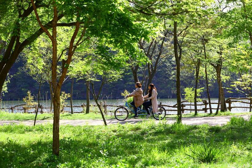 Seoul: Nami Island & Petite France Tour with Railbike Option - Pinocchio and Da Vinci Village, a newer themed stop