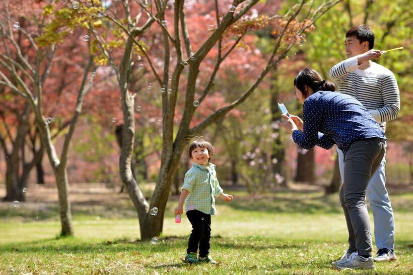 Seoul: Nami Island & Petite France Tour with Railbike Option - Petite France in 45 minutes