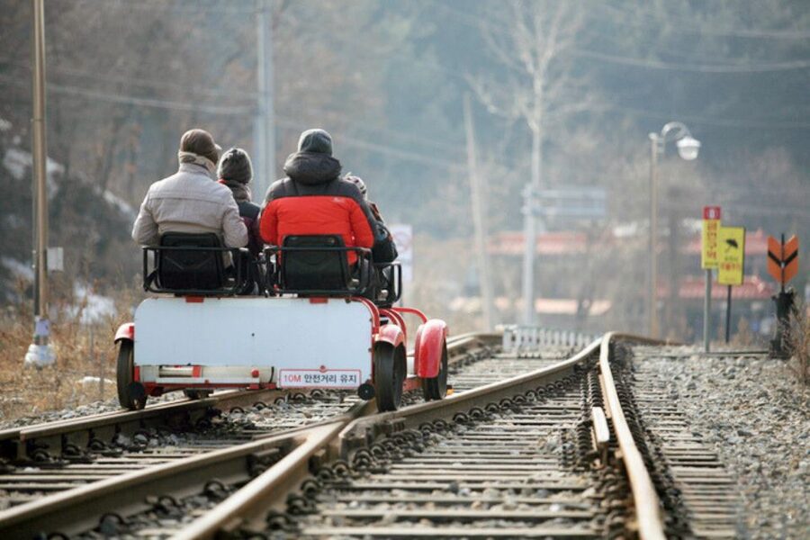 Seoul: Nami, Petite France, Italian Village, Railbike Option - Lunch in a short half-hour window