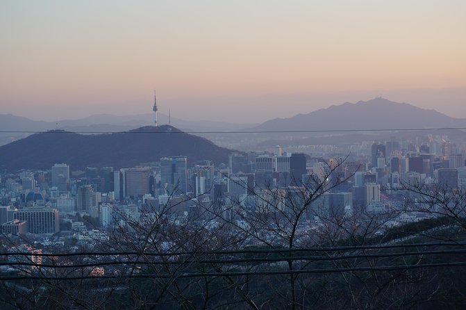 Seoul Night "Private Tour"(Korean BBQ, N-Tower, Seoul Fortress, Local Market) - N Seoul Tower: famous, useful, and partly extra