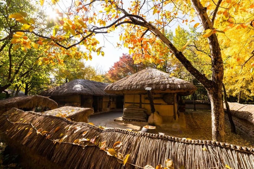 Seoul: Suwon Hwaseong Fortress & Korean Folk Village Tour - Transport from central Seoul and the real cost of the day