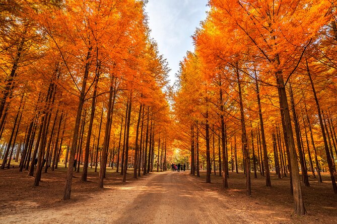 Seoul Vicinity 5 in 1: Nami Island, Garden of Morning Calm & More - Gangchon Rail Park: the most playful finish