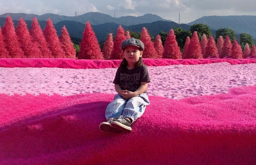 Seoul: Winter Day Tour in Pocheon (+Strawberry Picking) - How the guide affects the day