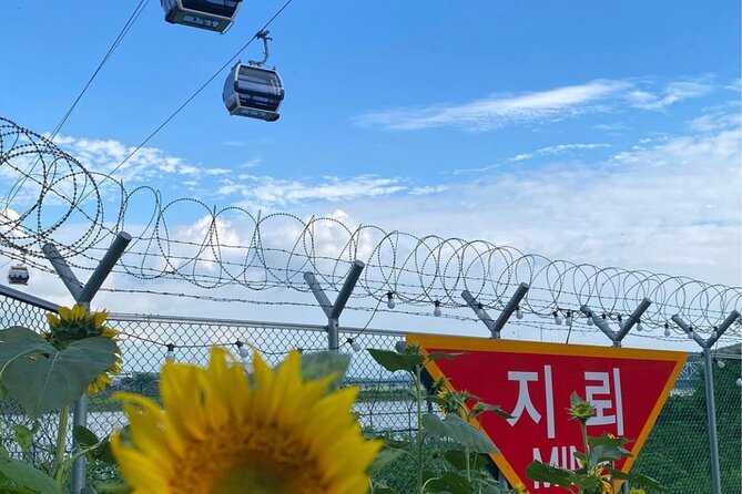 Signature DMZ Tour: Exclusive Defector Talk & Suspension Bridge - Walking the Third Tunnel