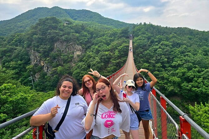 Small Group DMZ Tour from Seoul Korea with North Korean Defector - Key points before you book
