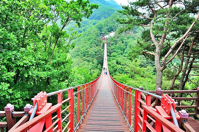 Small-Group DMZ Tour w/ North Korea Experience Hall & Susp.Bridge - Why the Seoul DMZ trip matters