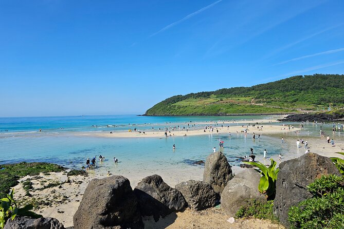Small group Jeju private Full-Day Tour of East and South and West - Key points before you book