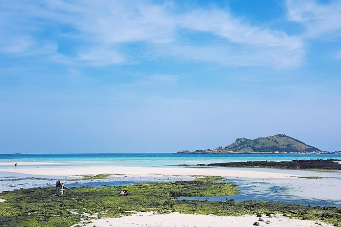 South-West Jeju Essentials: Hallasan & Signature Highlights - Bomunsa Temple adds culture and a coastal setting