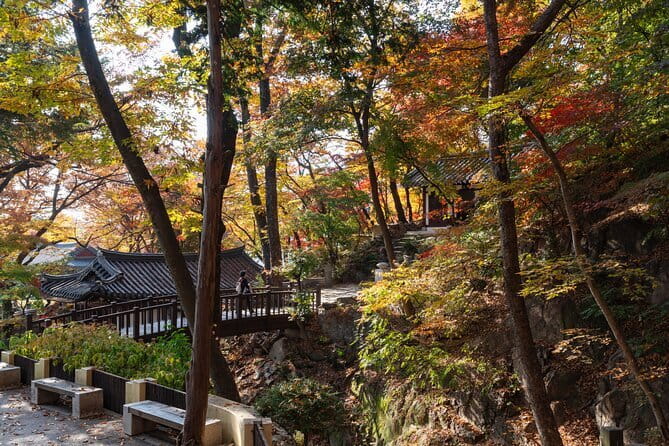 Street photoshoot and Seoul Hidden gem History Walking Tour - What you receive for $45.95