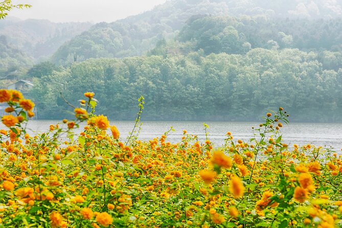 Trip to Nami Island with Petite France & Italian Village, Garden of Morning Calm - Italian Village Pinocchio and Da Vinci: a brief second themed stop