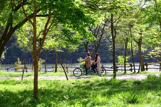 Trip to Nami Island with Petite France & Italian Village, Garden of Morning Calm - Is $78.10 good value?