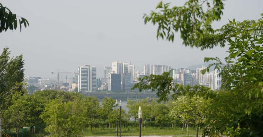 Unique Native Experience : Han River Picnic, Board game, BBQ - A Han River afternoon built around people