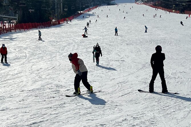 Yongpyong Ski Resort from Seoul with Optional Lesson and Packages - What the lessons are really worth